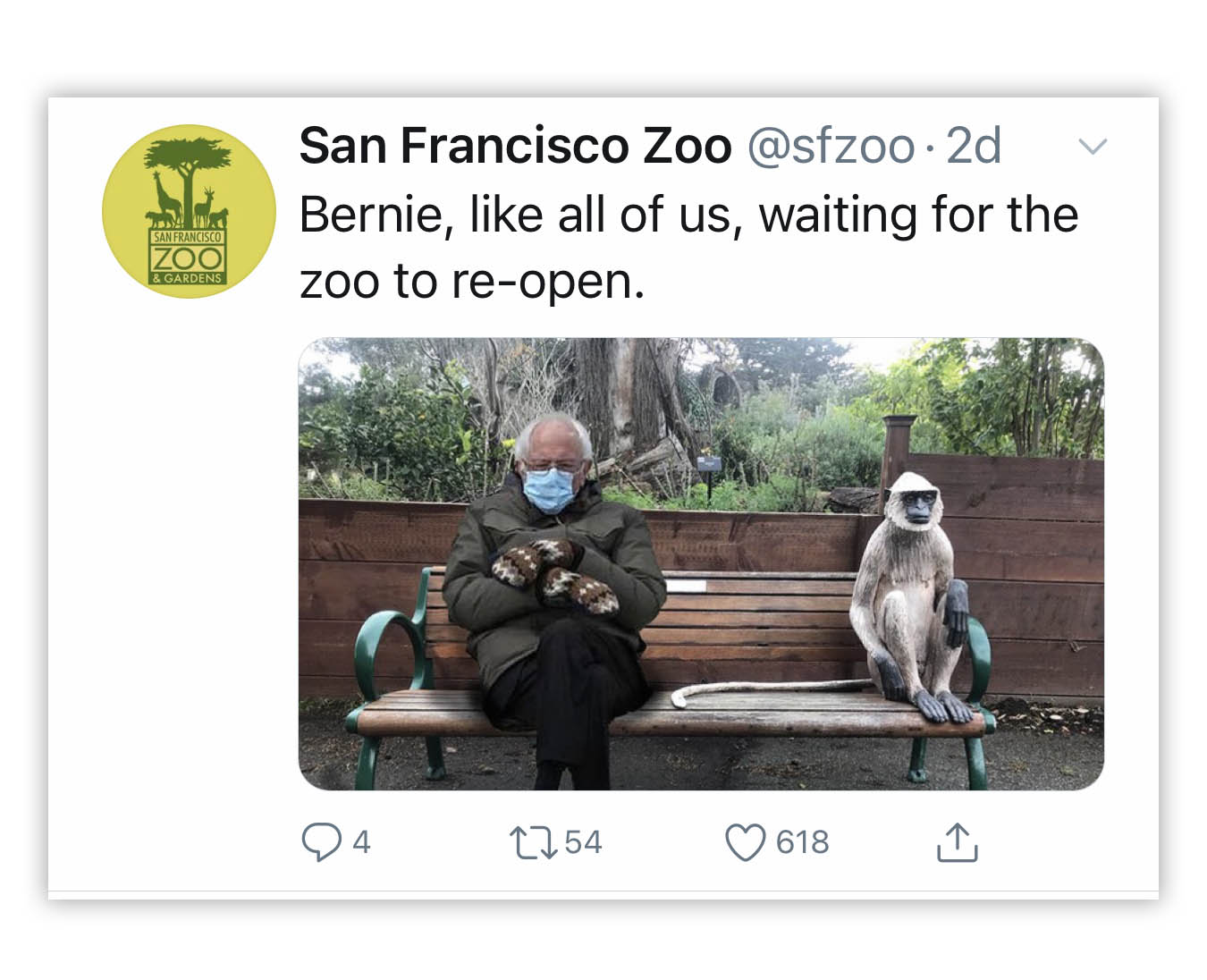San Fran Zoo bernie